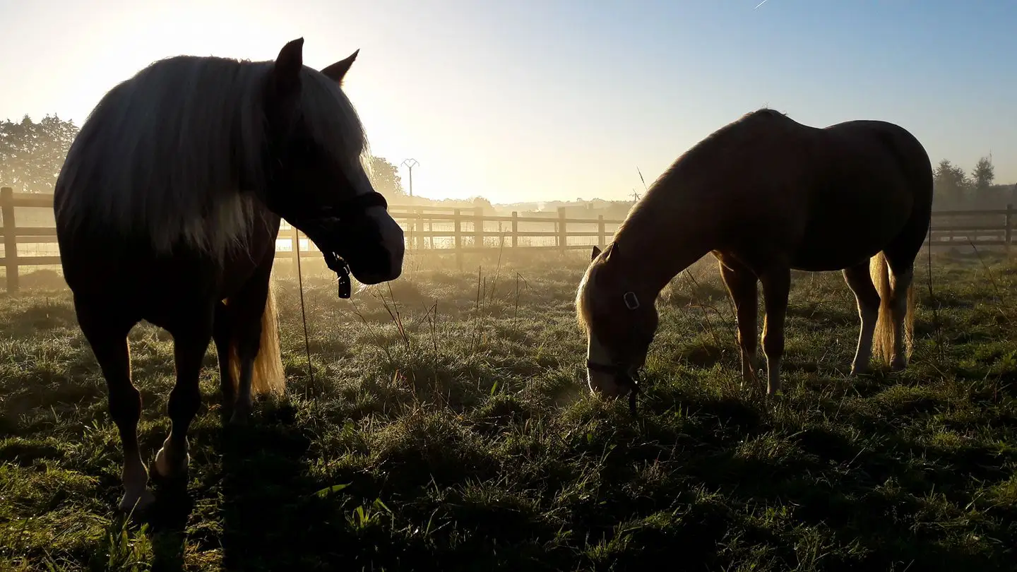Gîte pour 6 personnes à Assesse TagadaH